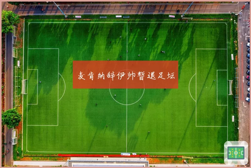 麦肯纳辞伊帅暂退足坛
