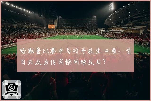 哈勒普比赛中与对手发生口角，昔日好友为何因擦网球反目？