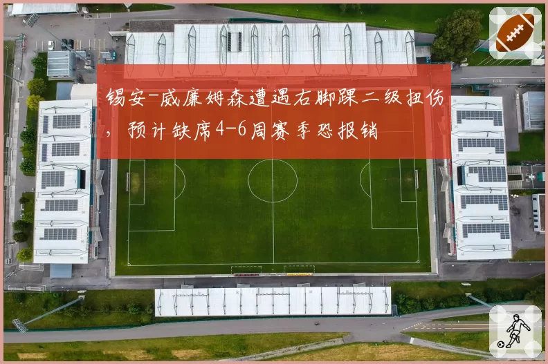 锡安-威廉姆森遭遇右脚踝二级扭伤，预计缺席4-6周赛季恐报销