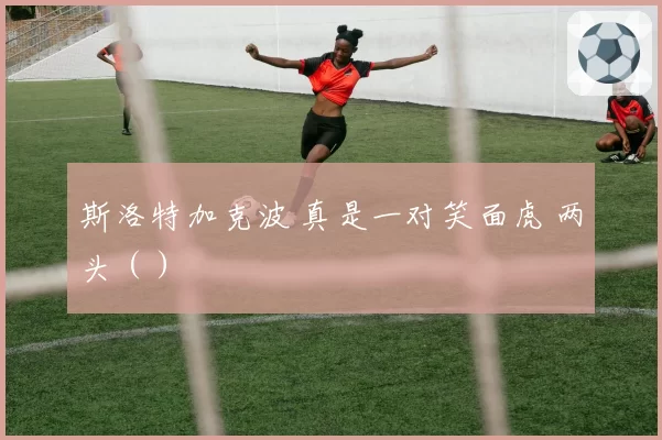 斯洛特加克波 真是一对笑面虎 两头（）